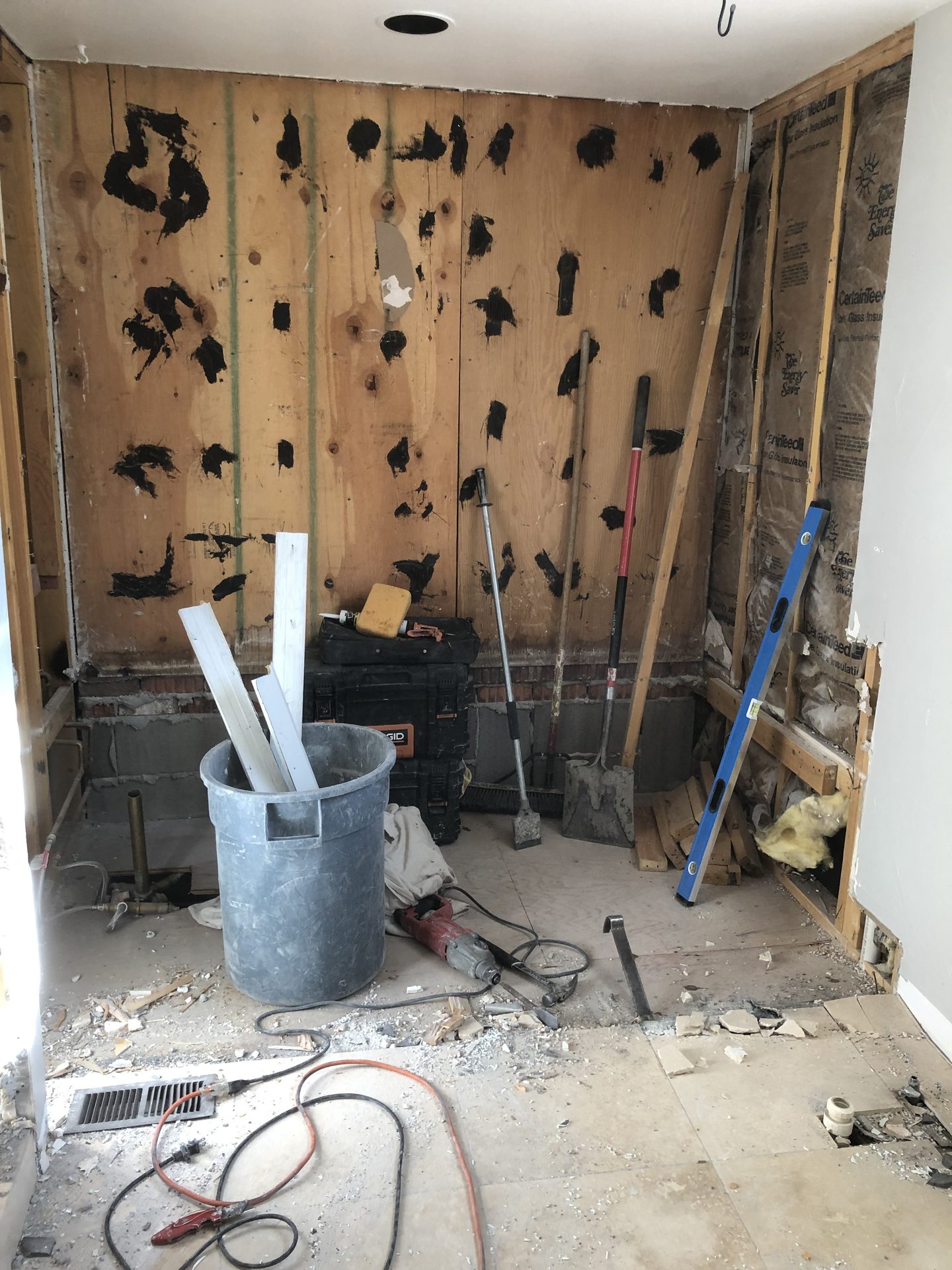 Bathroom stripped to studs and plywood during demo